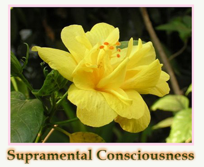 Supramental Consciousness